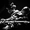 MG-5376-copie.jpg